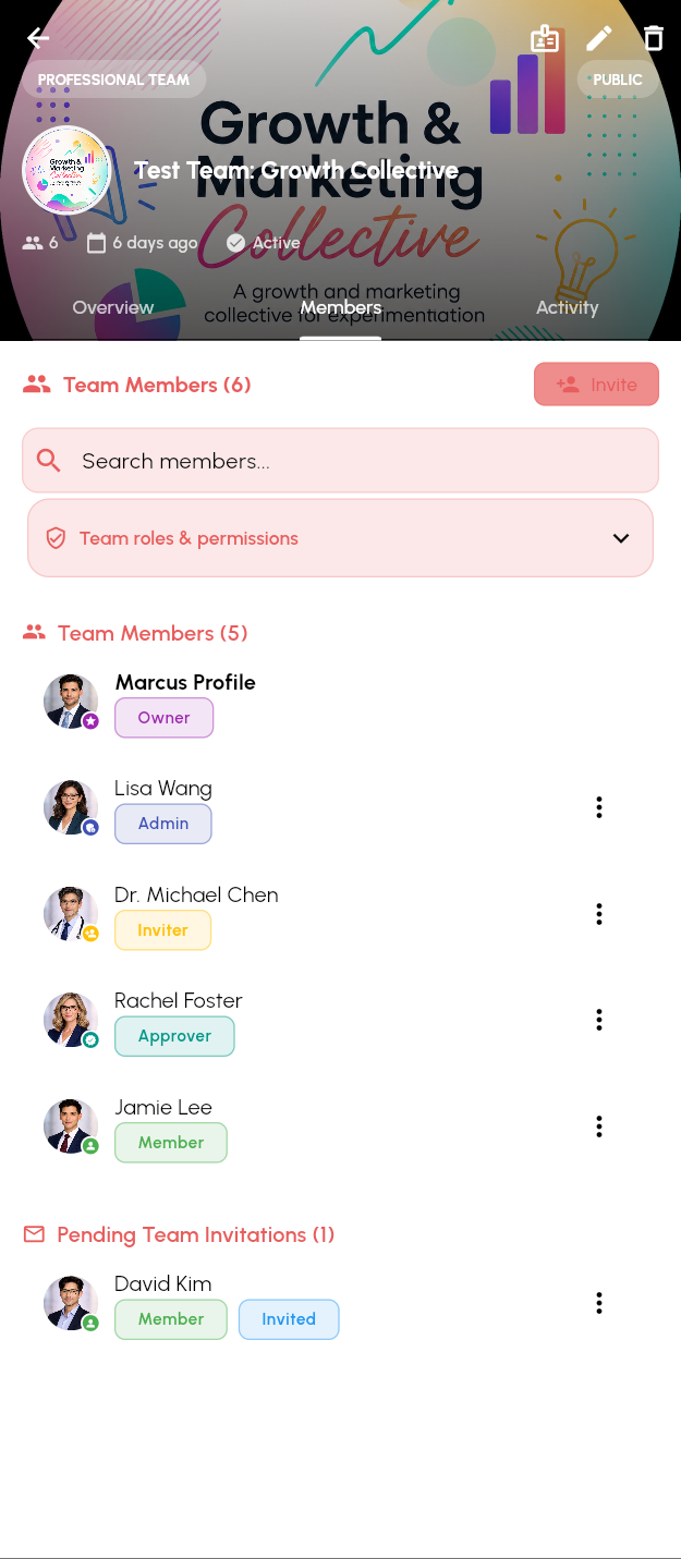 NetQnect teams screen with team profiles and shared presence controls